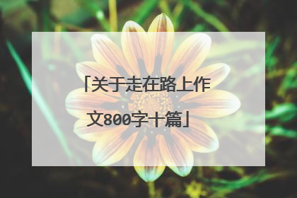 关于走在路上作文800字十篇