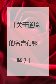 关于逆境的名言有哪些？