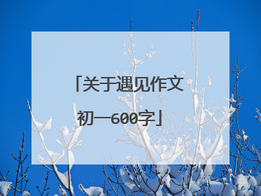 关于遇见作文初一600字
