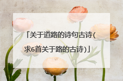 关于道路的诗句古诗(求6首关于路的古诗)