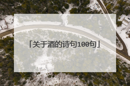 关于酒的诗句100句