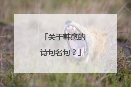 关于韩愈的诗句名句？