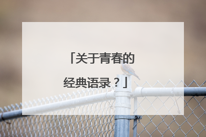 关于青春的经典语录？
