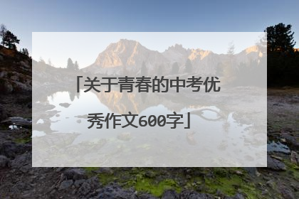 关于青春的中考优秀作文600字