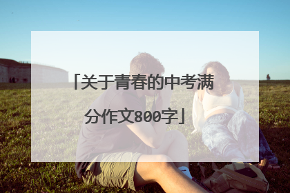 关于青春的中考满分作文800字