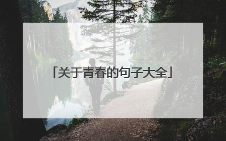 关于青春的句子大全