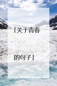 关于青春的句子
