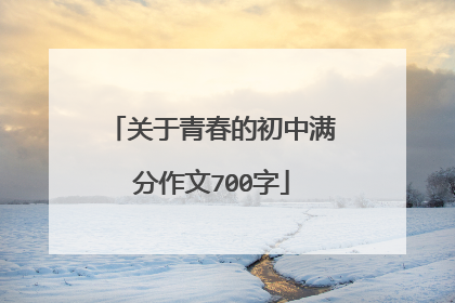 关于青春的初中满分作文700字