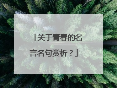 关于青春的名言名句赏析？