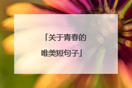 关于青春的唯美短句子