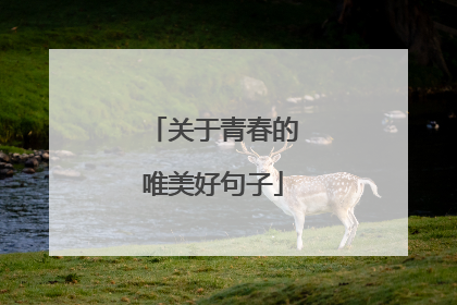 关于青春的唯美好句子