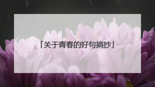 关于青春的好句摘抄