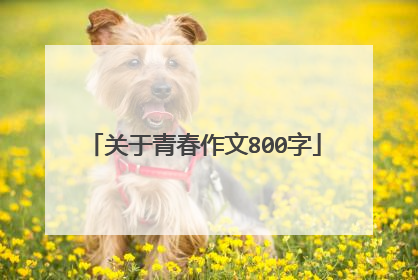 关于青春作文800字