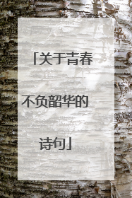 关于青春不负韶华的诗句