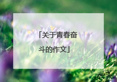 关于青春奋斗的作文