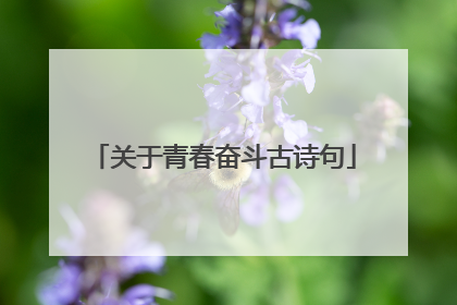 关于青春奋斗古诗句