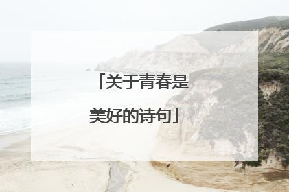 关于青春是美好的诗句