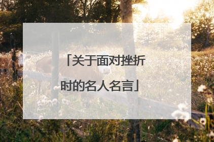 关于面对挫折时的名人名言
