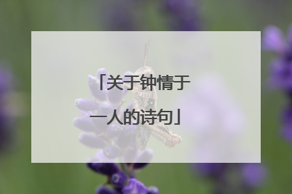 关于钟情于一人的诗句