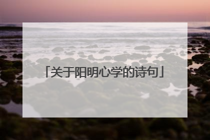 关于阳明心学的诗句