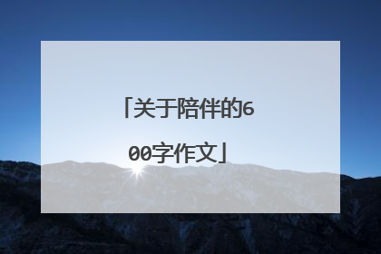 关于陪伴的600字作文