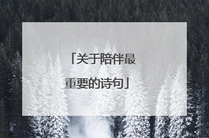 关于陪伴最重要的诗句