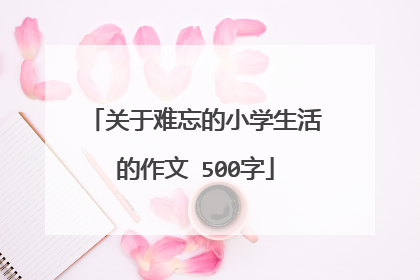 关于难忘的小学生活的作文 500字