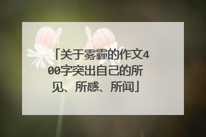 关于雾霾的作文400字突出自己的所见、所感、所闻