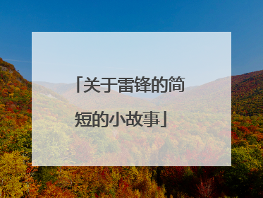 关于雷锋的简短的小故事