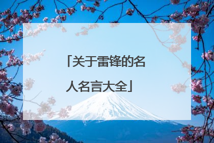 关于雷锋的名人名言大全