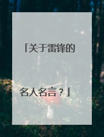 关于雷锋的名人名言?