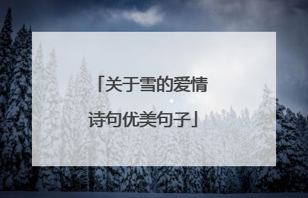 关于雪的爱情诗句优美句子