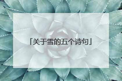 关于雪的五个诗句