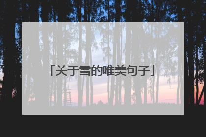 关于雪的唯美句子