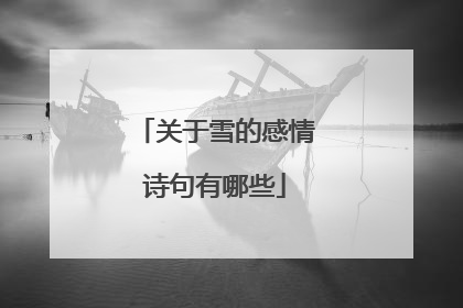 关于雪的感情诗句有哪些