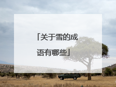 关于雪的成语有哪些