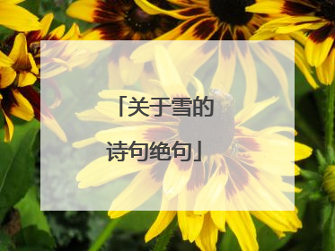 关于雪的诗句绝句
