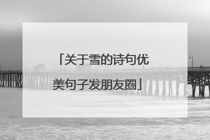关于雪的诗句优美句子发朋友圈