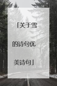 关于雪的诗句优美诗句