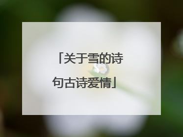 关于雪的诗句古诗爱情