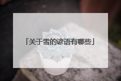关于雪的谚语有哪些