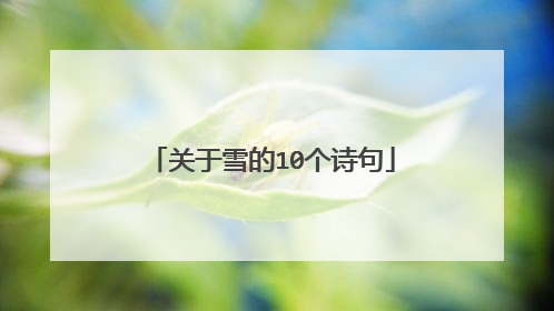 关于雪的10个诗句