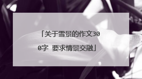 关于雪景的作文300字 要求情景交融