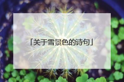 关于雪景色的诗句