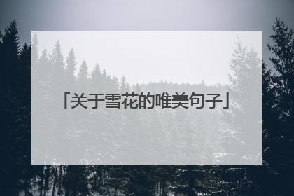 关于雪花的唯美句子