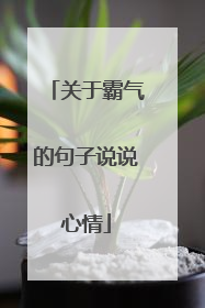 关于霸气的句子说说心情