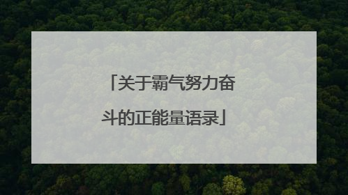 关于霸气努力奋斗的正能量语录