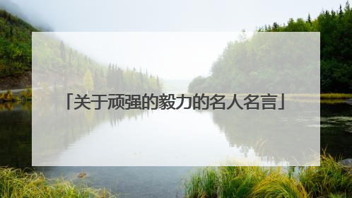 关于顽强的毅力的名人名言