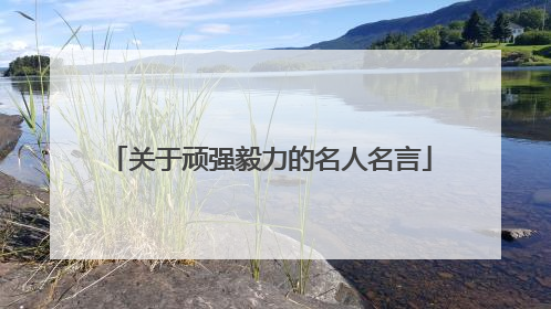 关于顽强毅力的名人名言