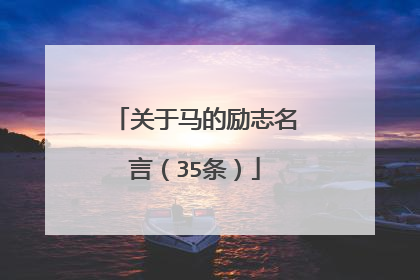 关于马的励志名言(35条)